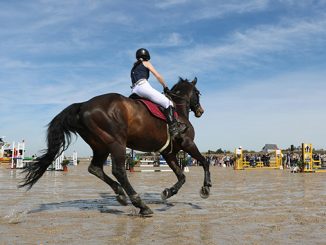 Chemistry atlet dan kuda tunggangan harus dibangun. Caranya dengan komunikasi nonverbal, konsisten berinteraksi, dan sabar