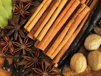 Kekuatan rempah kuliner Indonesia dan karakternya di dalam masakan, mulai dari adas, lada, cengkeh, kayu manis, dan kapulaga