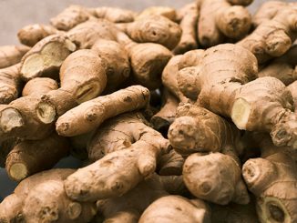 Jenis jamu populer di Jawa dan manfaatnya bagi tubuh mulai jamu temulawak, beras kencur, sinom, hingga kunyit asam